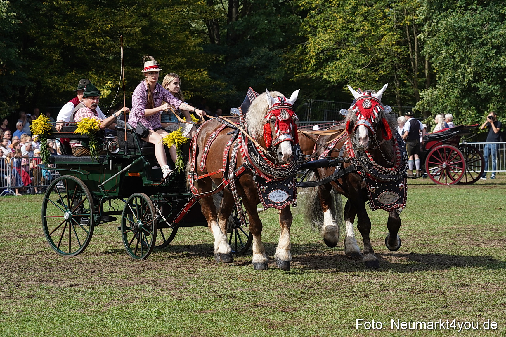 Pferde und Fohlenschau 2022 0221 